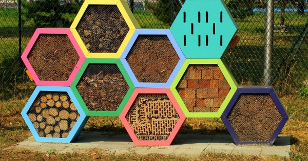 Uitgelezene Maak zelf een insectenhotel in jouw tuin! | Lendelede DN-96
